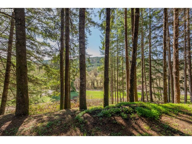 4868 UMPQUA HIGHWAY 99, Drain, OR 97435