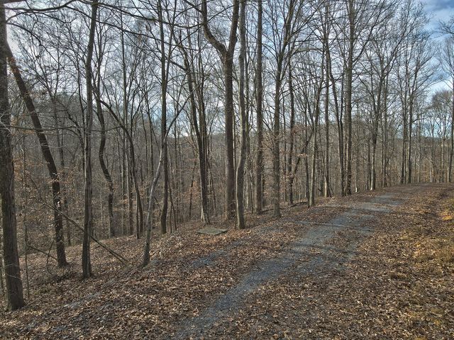 25 Piper Road, Russell Springs, KY 42642