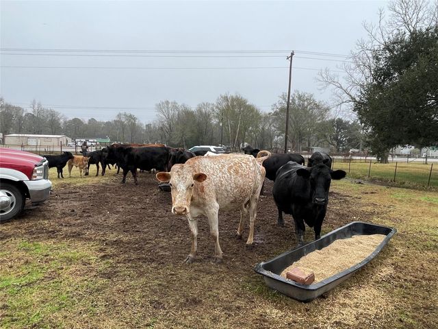 TBD Tx-321, Dayton, TX 77535