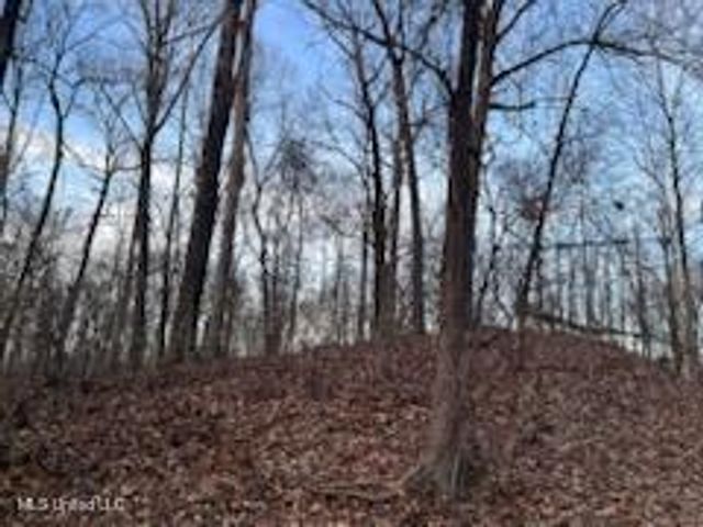 1915 Mattaha Drive, Hernando, MS 38632