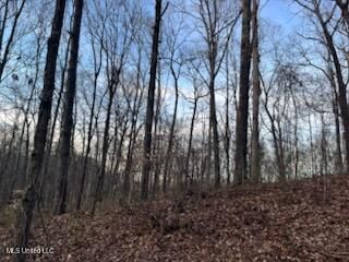 1915 Mattaha Drive, Hernando, MS 38632