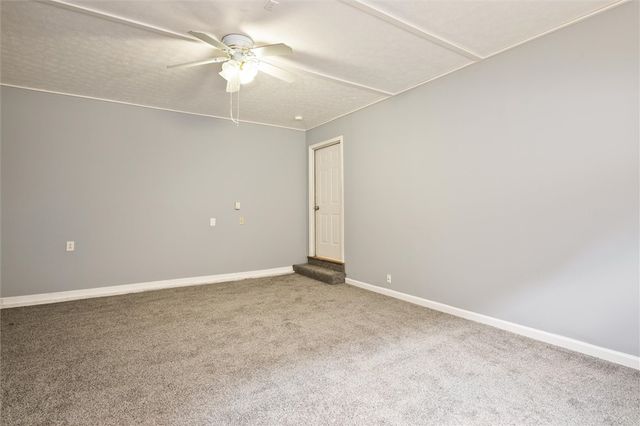 282 Troup Street, Rochester, NY 14608