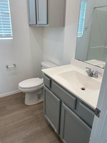 19115 Pinewood Grove Trail, New Caney, TX 77357