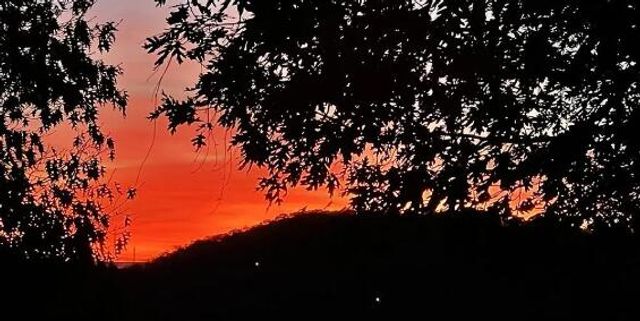 448 Notch Lane 3, Branson West, MO 65737