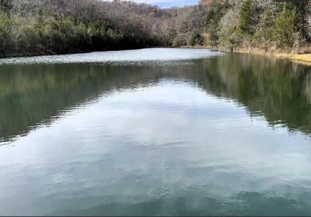 448 Notch Lane 3, Branson West, MO 65737