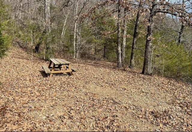 448 Notch Lane 3, Branson West, MO 65737