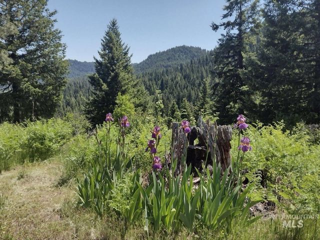 706 and 704 Canyon Rim Lane, Orofino, ID 83544