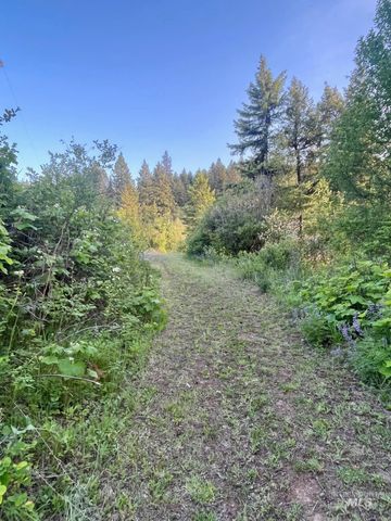 706 and 704 Canyon Rim Lane, Orofino, ID 83544