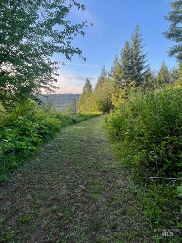706 and 704 Canyon Rim Lane, Orofino, ID 83544