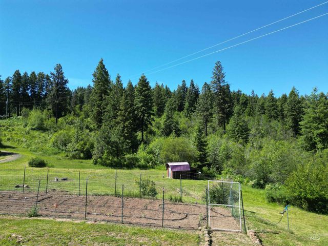706 and 704 Canyon Rim Lane, Orofino, ID 83544