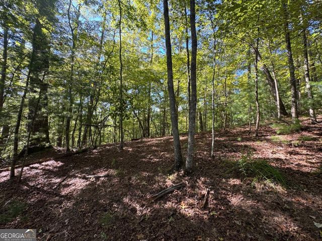 2.5 AC Mango Lane 732+ 733, Ellijay, GA 30540