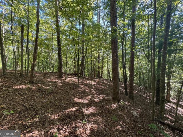 2.5 AC Mango Lane 732+ 733, Ellijay, GA 30540