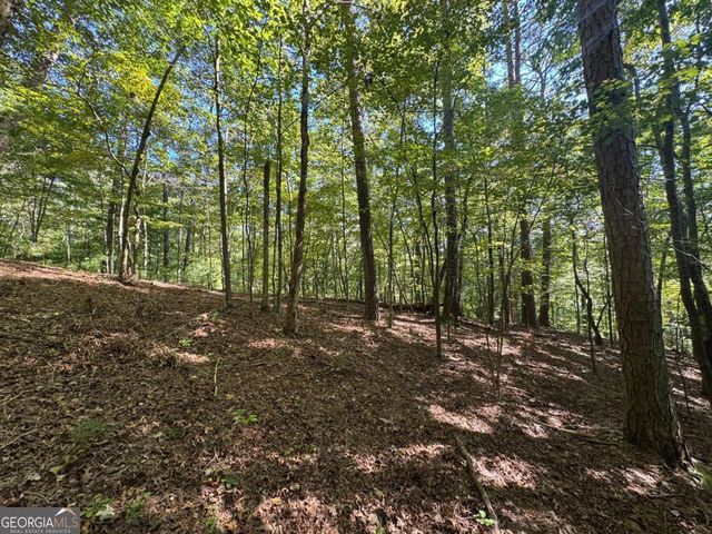 2.5 AC Mango Lane 732+ 733, Ellijay, GA 30540