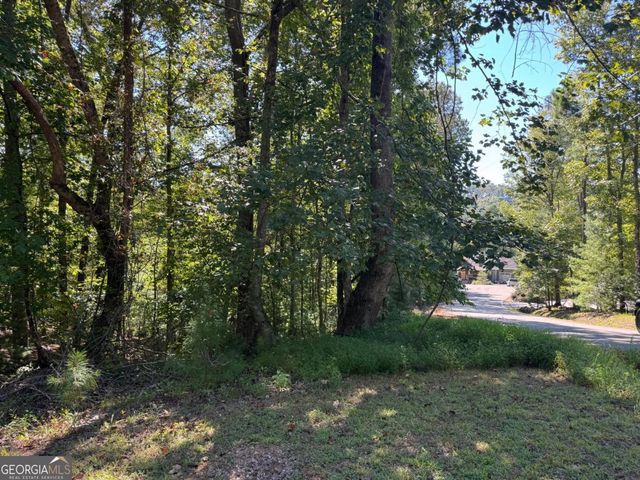 2.5 AC Mango Lane 732+ 733, Ellijay, GA 30540