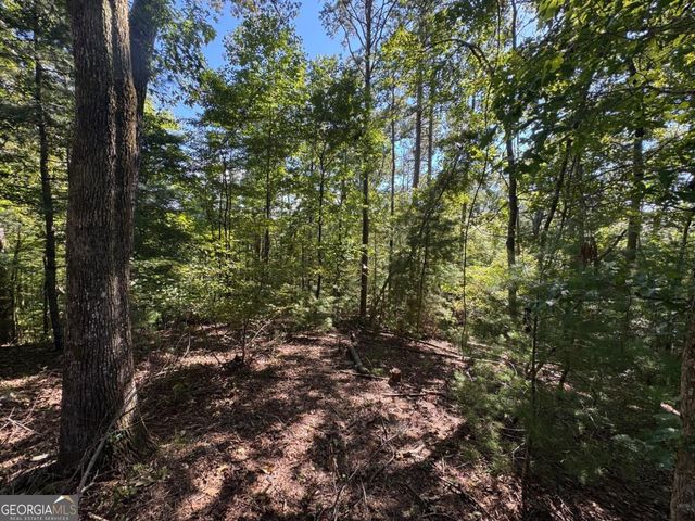 2.5 AC Mango Lane 732+ 733, Ellijay, GA 30540