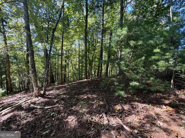 2.5 AC Mango Lane 732+ 733, Ellijay, GA 30540