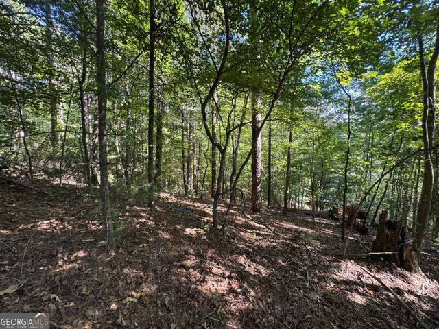 2.5 AC Mango Lane 732+ 733, Ellijay, GA 30540