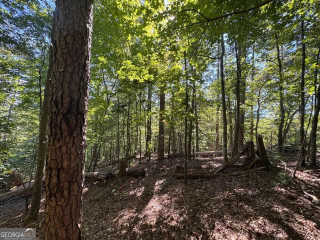 2.5 AC Mango Lane 732+ 733, Ellijay, GA 30540