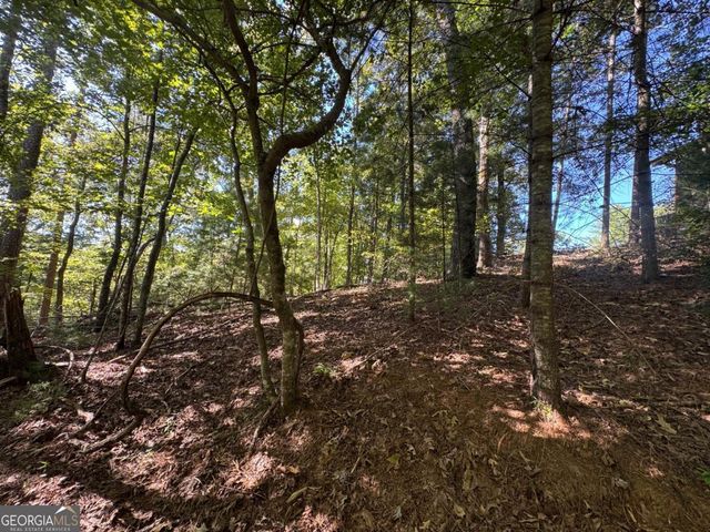 2.5 AC Mango Lane 732+ 733, Ellijay, GA 30540
