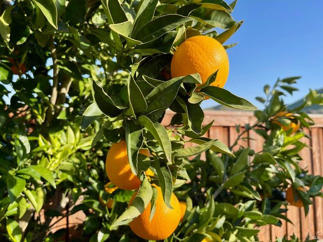 1844 Stockbridge Dr, Fairfield, CA 94534