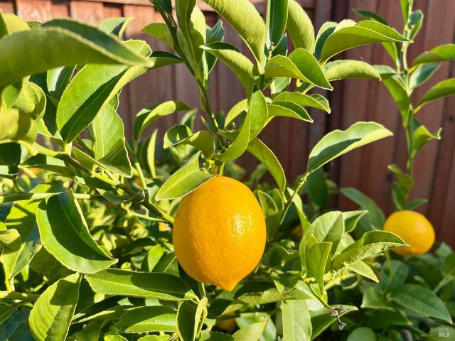 1844 Stockbridge Dr, Fairfield, CA 94534