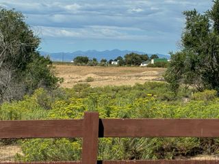 2124 Longfin Ct, Windsor, CO 80550