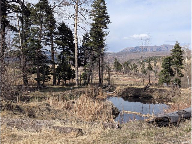 776 Forbes Park Rd, Fort Garland, CO 81133