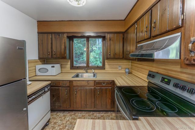 321 Terrace Drive, Prattsville, NY 12452