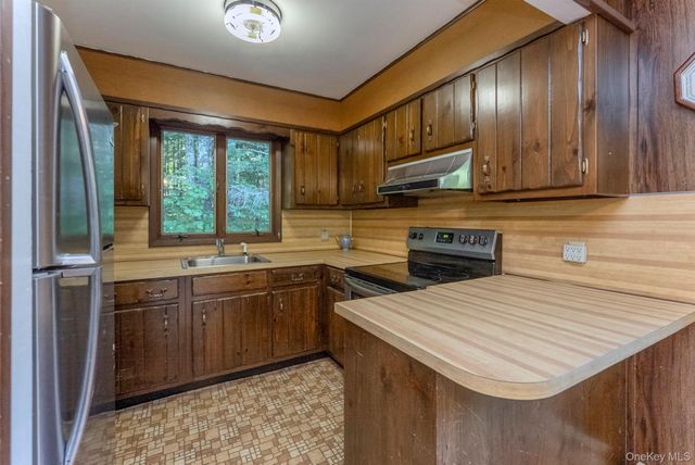 321 Terrace Drive, Prattsville, NY 12452