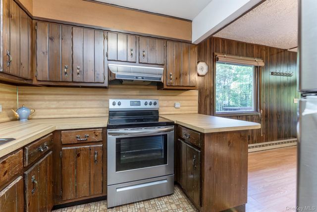 321 Terrace Drive, Prattsville, NY 12452