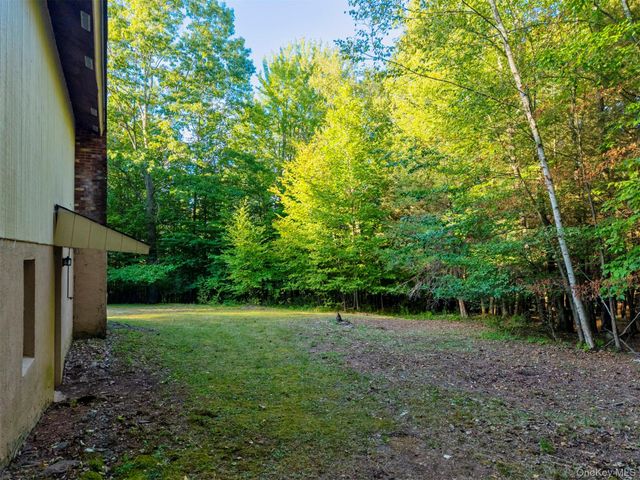 321 Terrace Drive, Prattsville, NY 12452