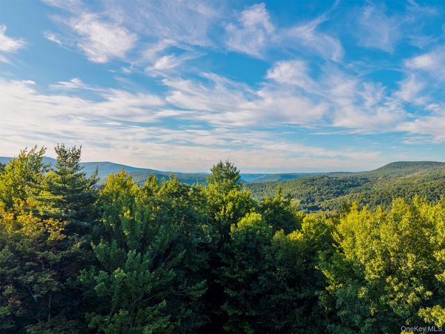 321 Terrace Drive, Prattsville, NY 12452