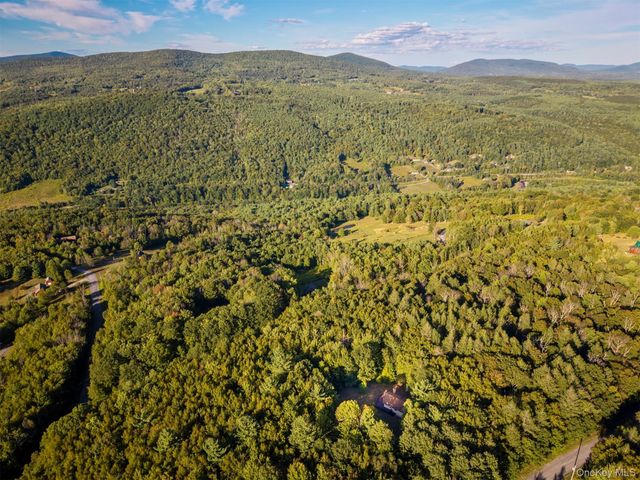 321 Terrace Drive, Prattsville, NY 12452