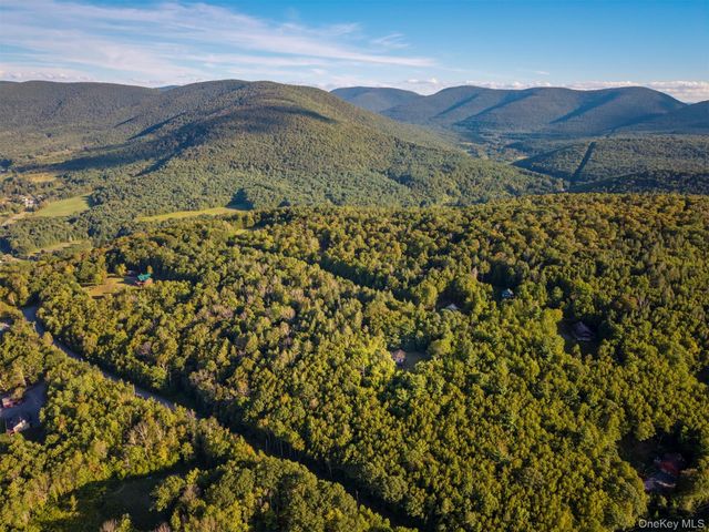 321 Terrace Drive, Prattsville, NY 12452