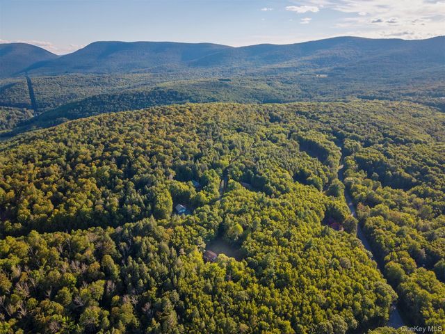 321 Terrace Drive, Prattsville, NY 12452