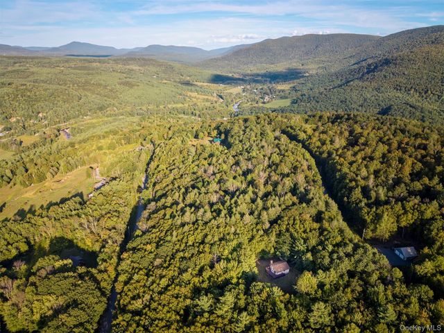 321 Terrace Drive, Prattsville, NY 12452