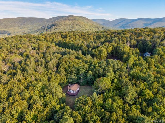 321 Terrace Drive, Prattsville, NY 12452