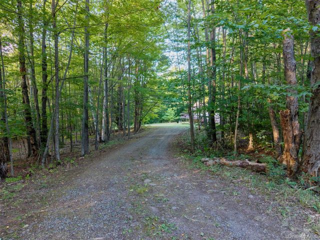 321 Terrace Drive, Prattsville, NY 12452