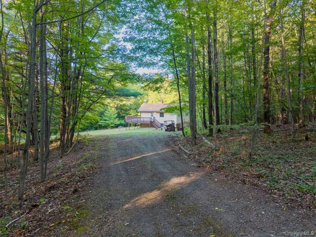 321 Terrace Drive, Prattsville, NY 12452