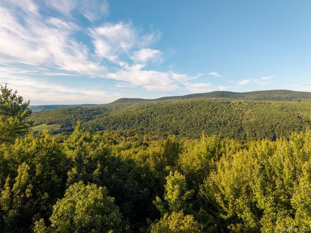 321 Terrace Drive, Prattsville, NY 12452