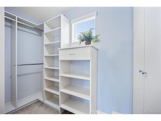 10934 Touchstone Loop, Parker, CO 80134