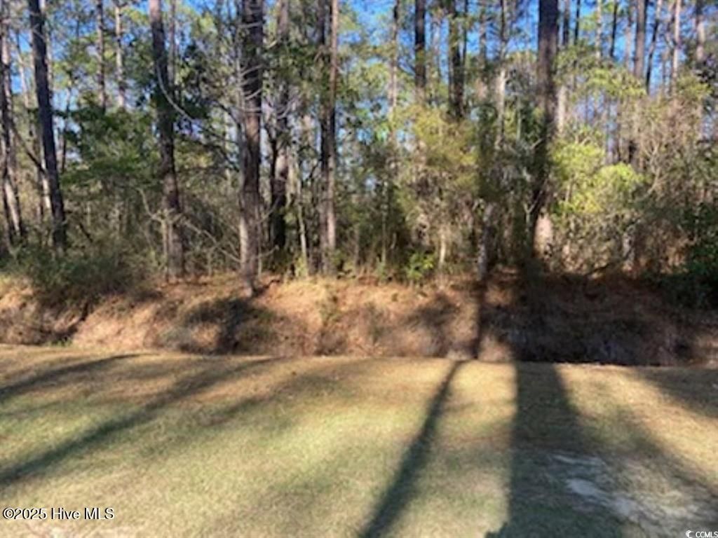 9 Gumwood Drive, Carolina Shores, NC 28467