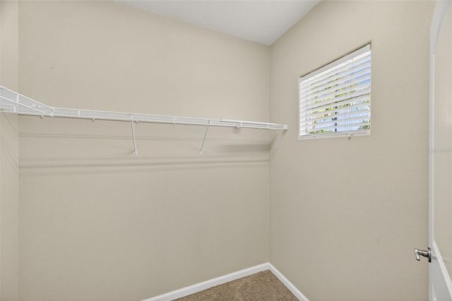 7710 TUSCANY WOODS DRIVE, Tampa, FL 33647