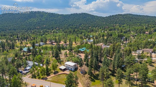1030 Woodland Avenue, Woodland Park, CO 80863