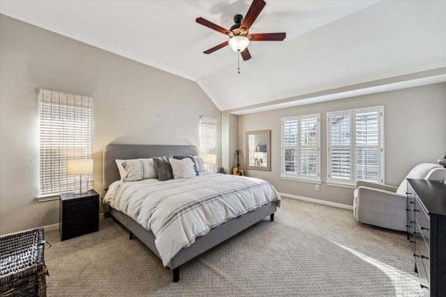 920 Cohn Street, Houston, TX 77007