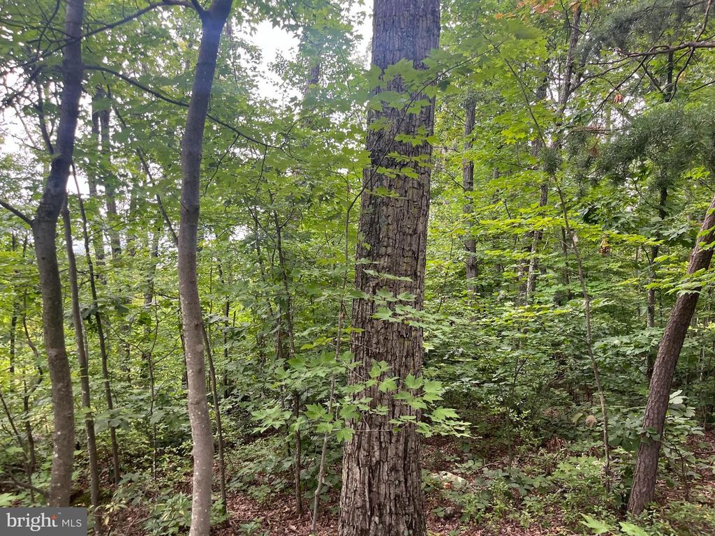 LOT 3 TOMAHAWK LN, Edinburg, VA 22824