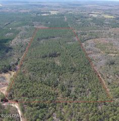 60 Acres Jw Miller Road, Bonifay, FL 32425