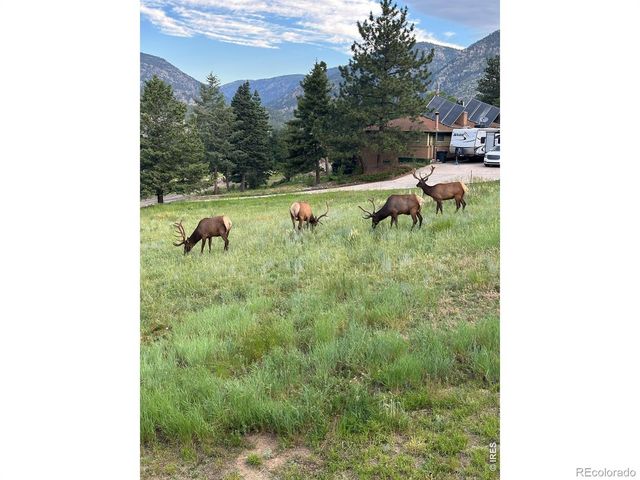 48 Button Rock Road, Lyons, CO 80540