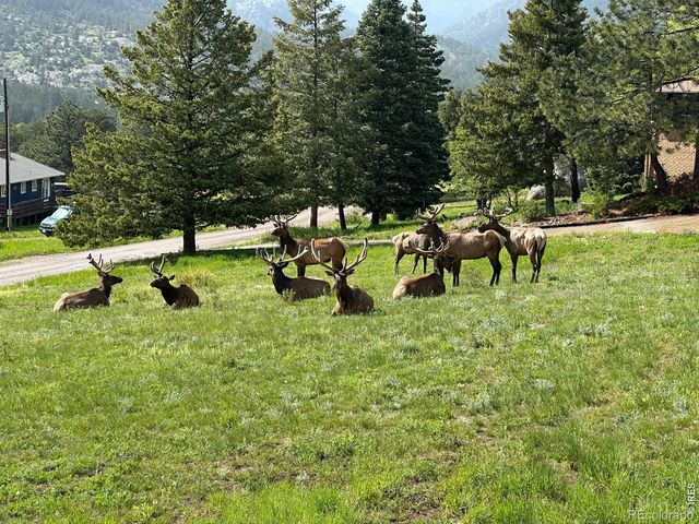 48 Button Rock Road, Lyons, CO 80540