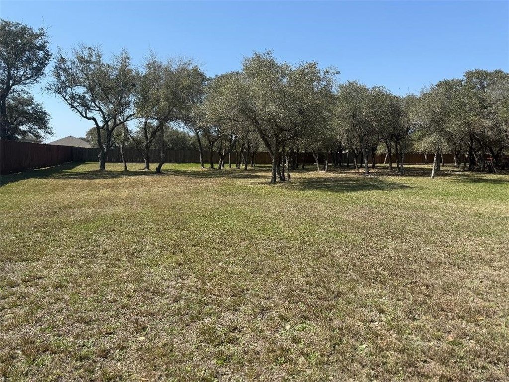 000 S Saunders, Aransas Pass, TX 78336 — photo 5